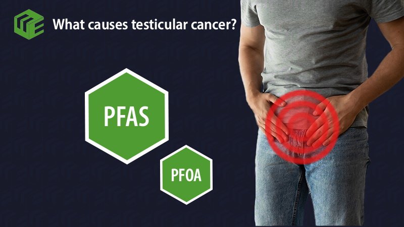 Testicular cancer claims video